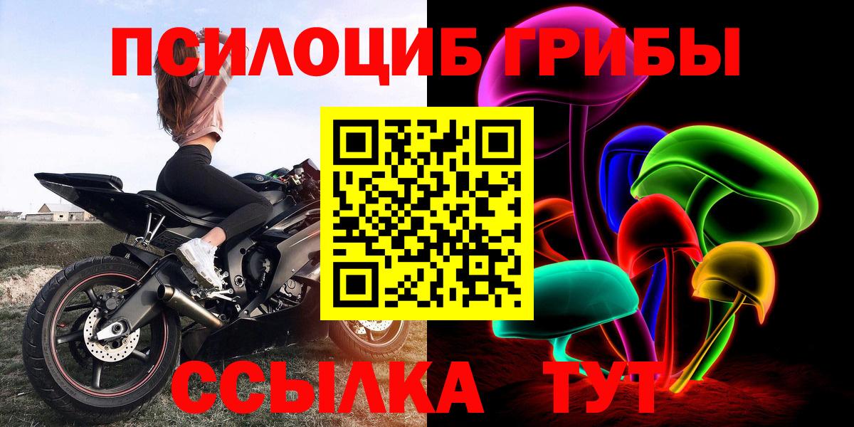 Благовещенск  купить наркотики цена  Вход с VPN  Псилоцибиновые грибы GOLDEN TEACHER 